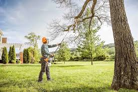 Best Tree Risk Assessment  in Exeter, PA